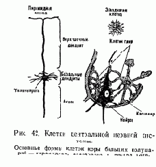  1.   
