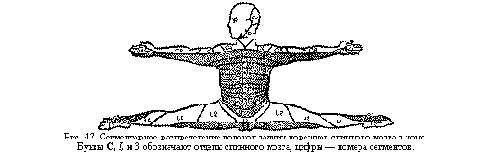  3.   